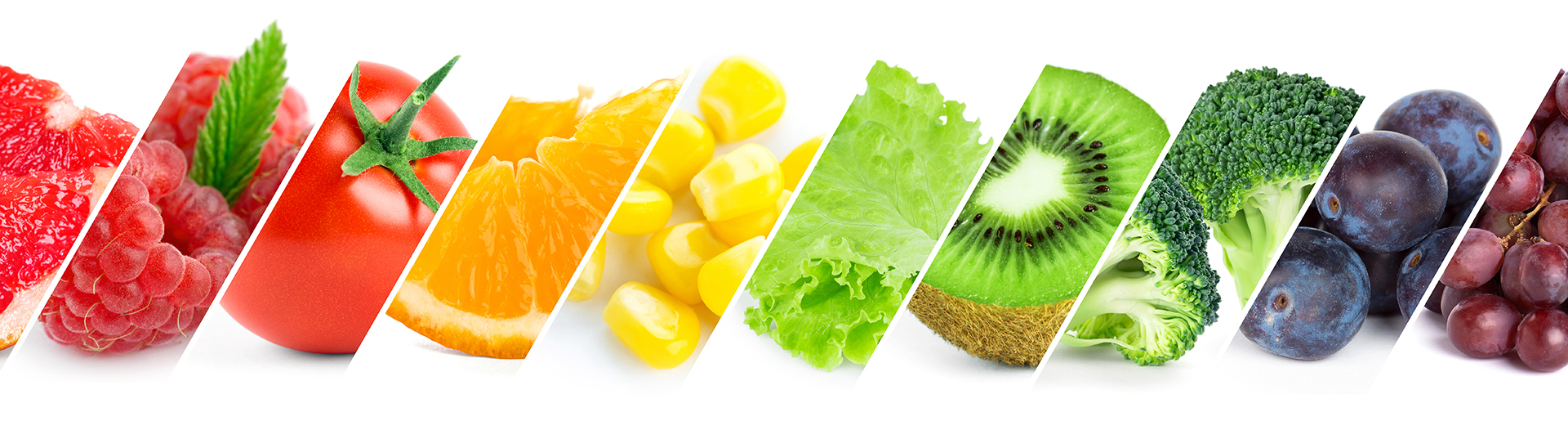 bienestar nutricional